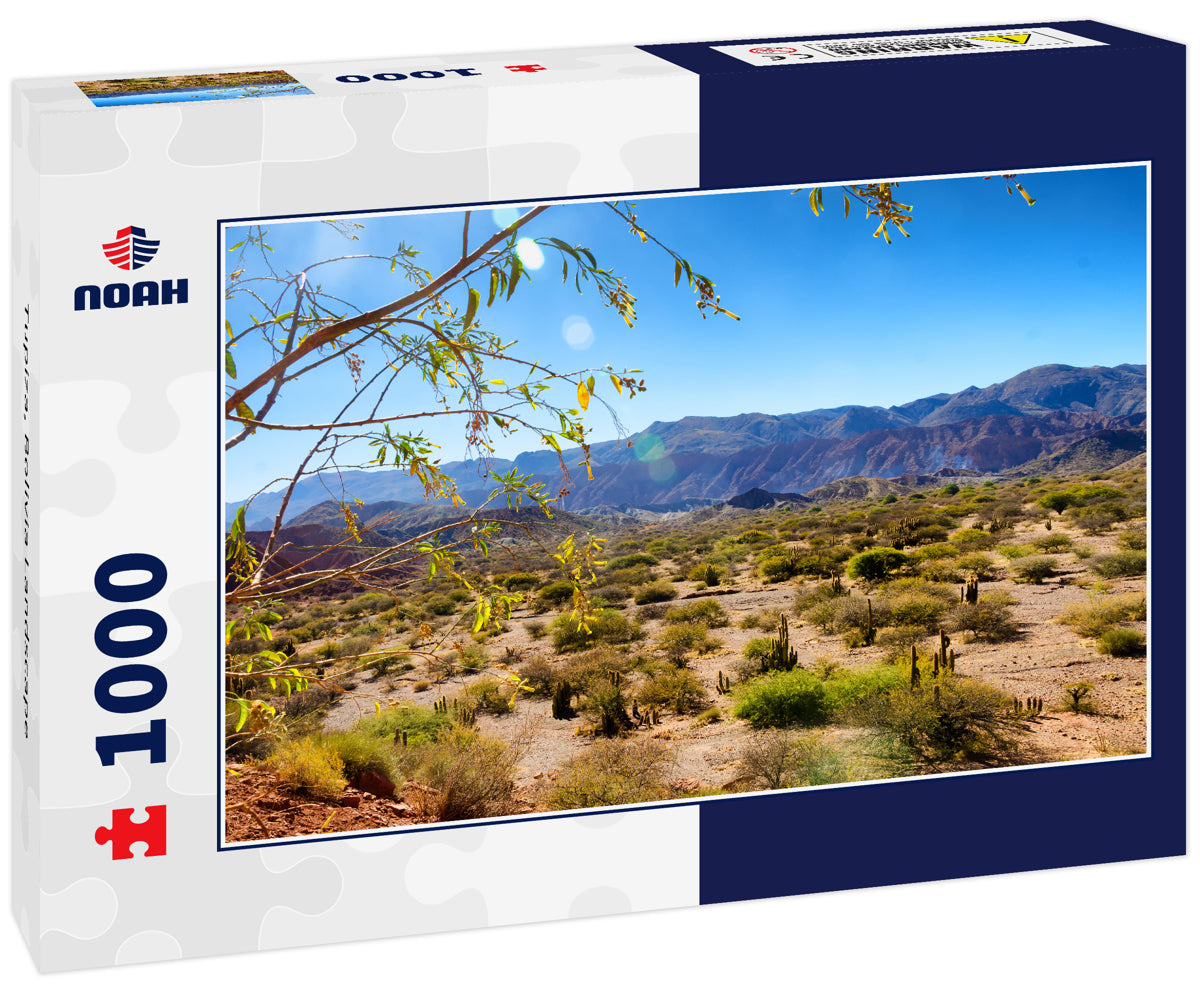 Tupiza, Bolivia Landscape