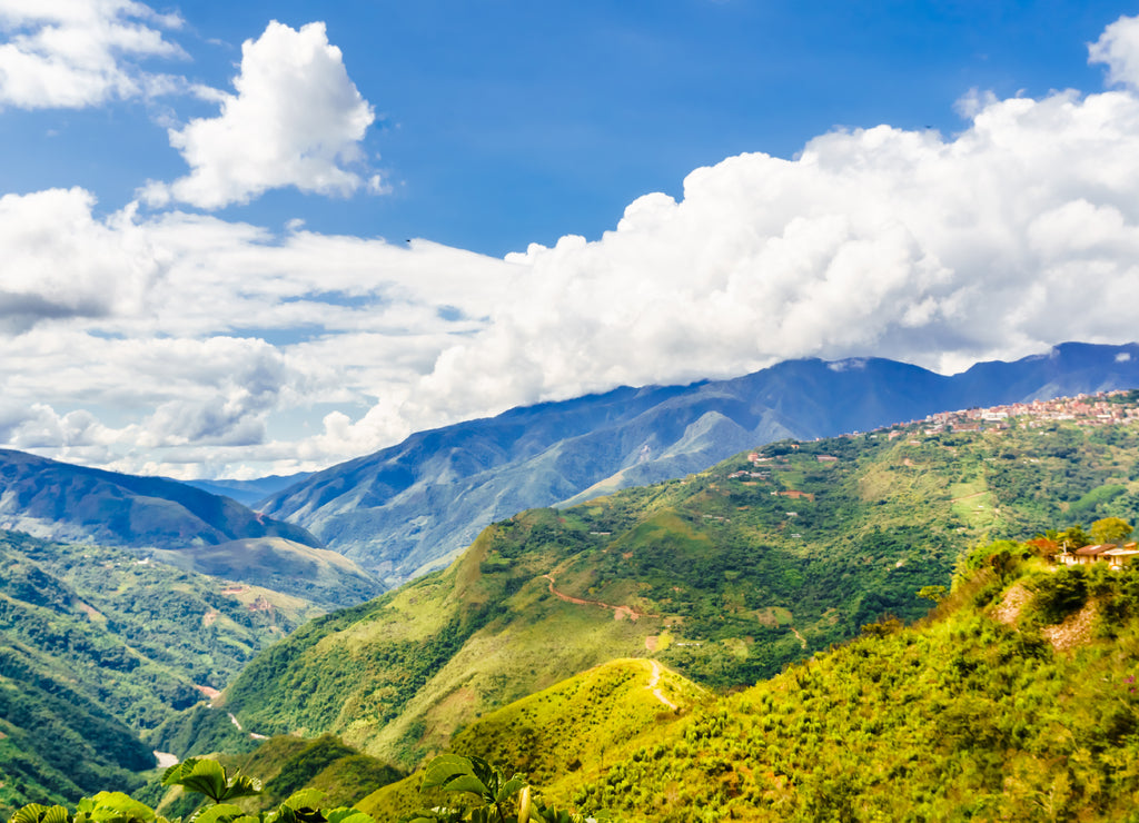 Mountain landscape in the Yungas by Coroico - Bolivia