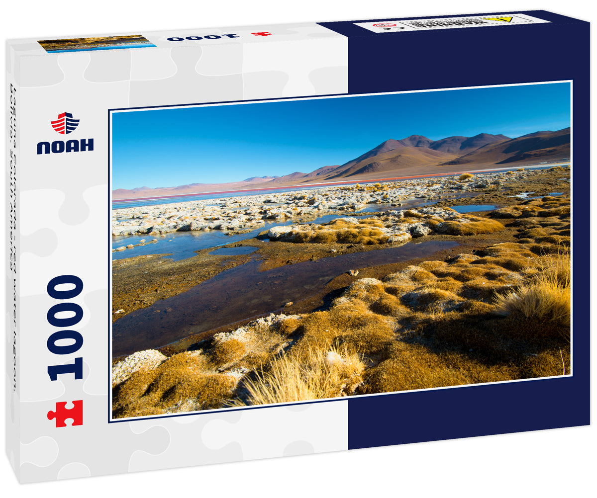 Laguna Colorada - red water lagoon. Bolivia. South America