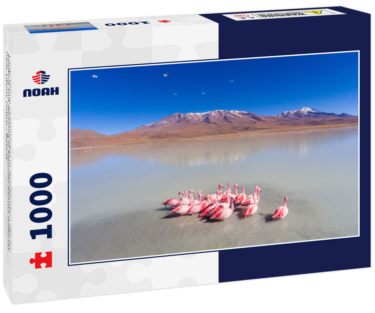 Large Group of Flamingos in Spectacular Lake are Feeding and Relaxing in Eduardo Abaroa National Park, Uyuni, Potosi / Bolivia