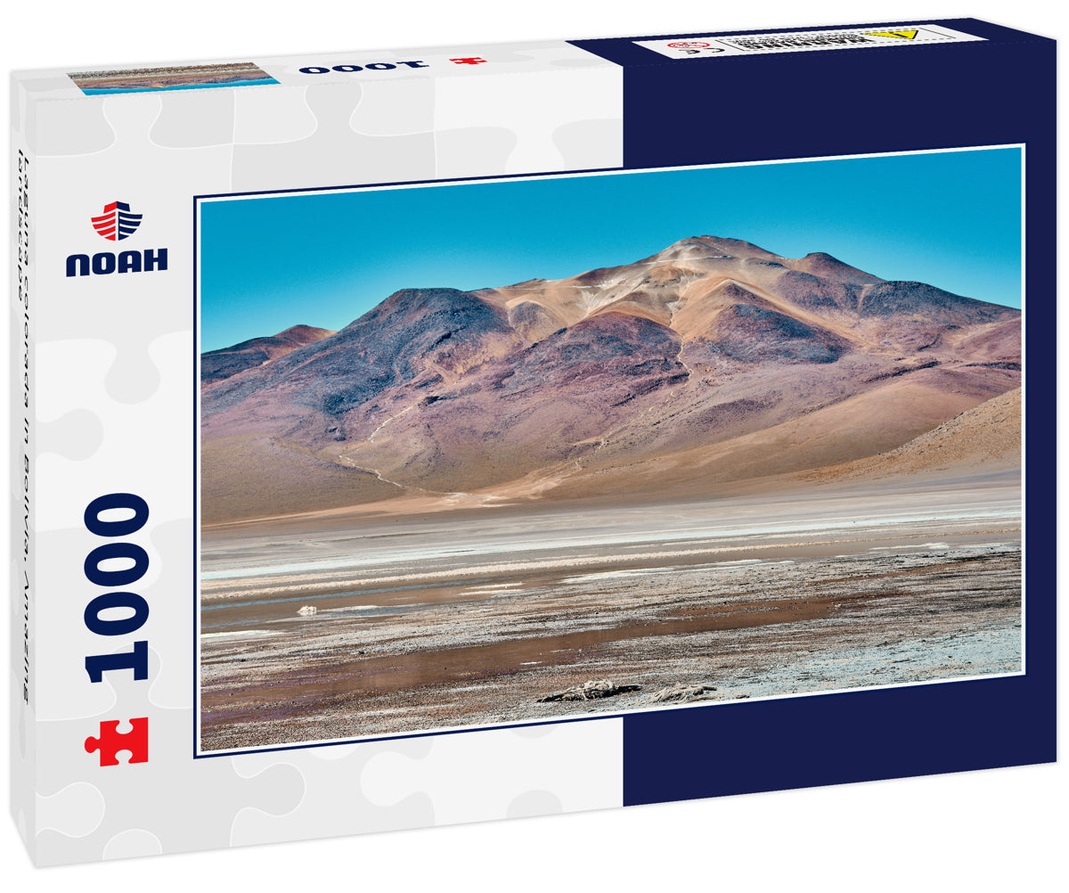 Laguna colorada in Bolivia, Amazing landscape