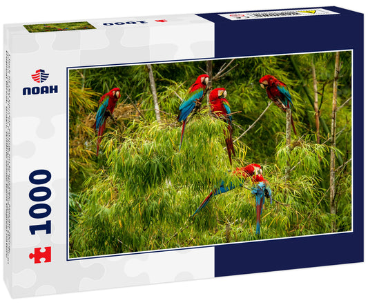 Flock of red parrots sitting on branches. Macaw flying, green vegetation in background. Red and green Macaw in tropical forest, Brazil, Wildlife scene from tropical nature