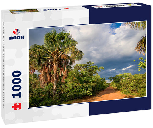 Brazilian rural road at Jalapão desert at Tocantins State