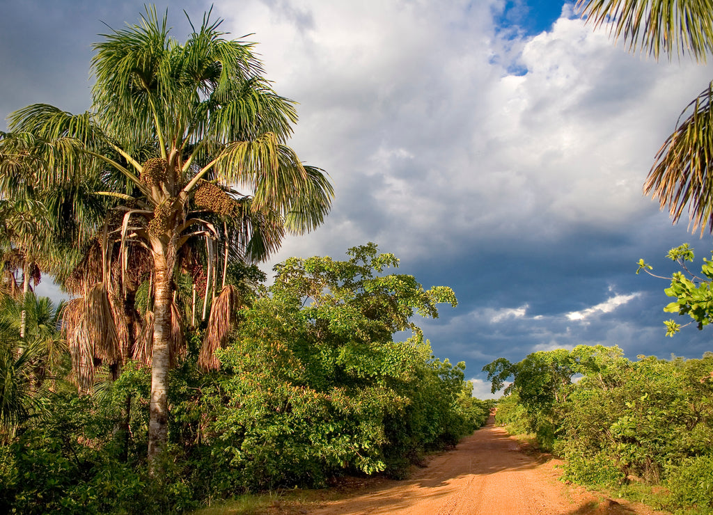 Brazilian rural road at Jalapão desert at Tocantins State