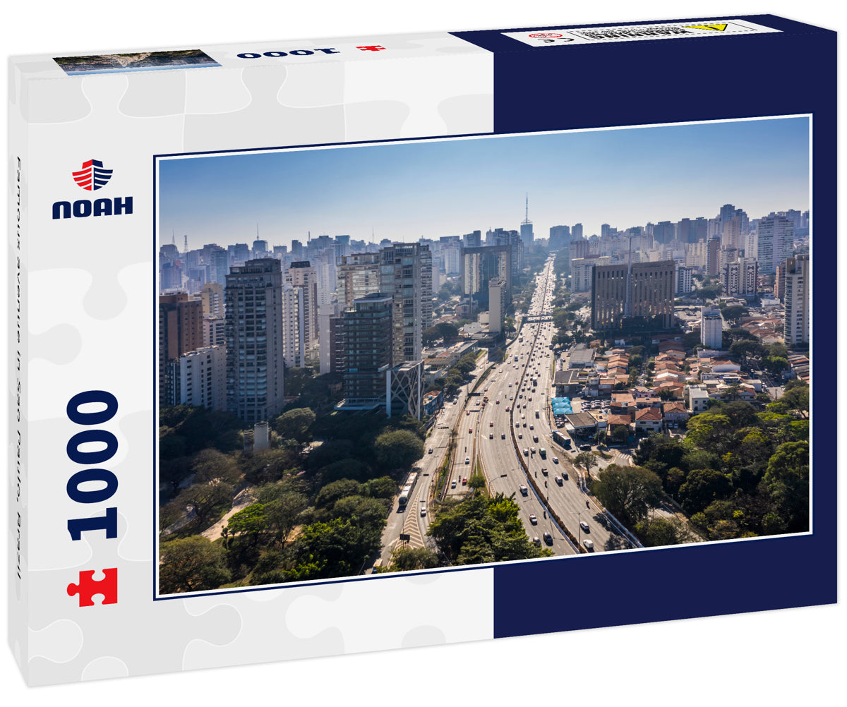 Famous avenue in Sao Paulo, Brazil