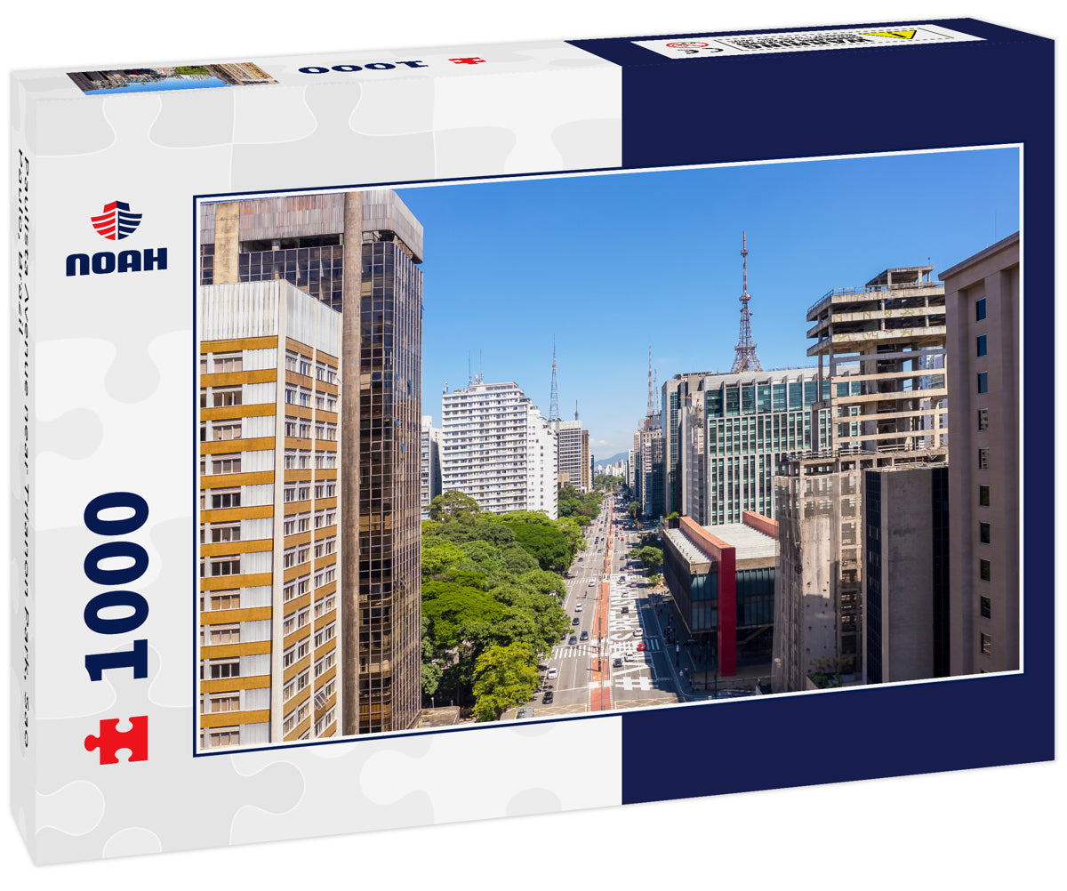 Paulista Avenue near Trianon Park, Sao Paulo, Brazil
