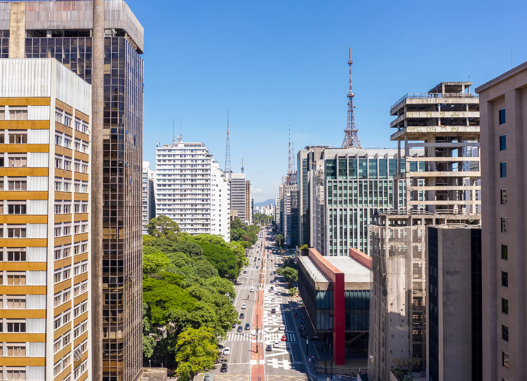 Paulista Avenue near Trianon Park, Sao Paulo, Brazil