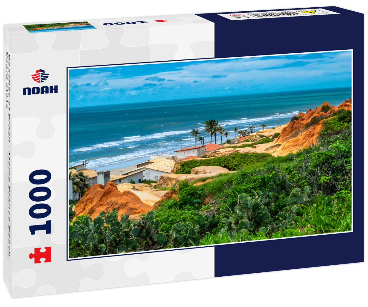 Beaches of Brazil - Morro Branco Beach - Ceara state