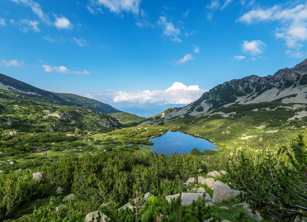 Scenery summer landscape, Pirin Mountain, Bulgaria