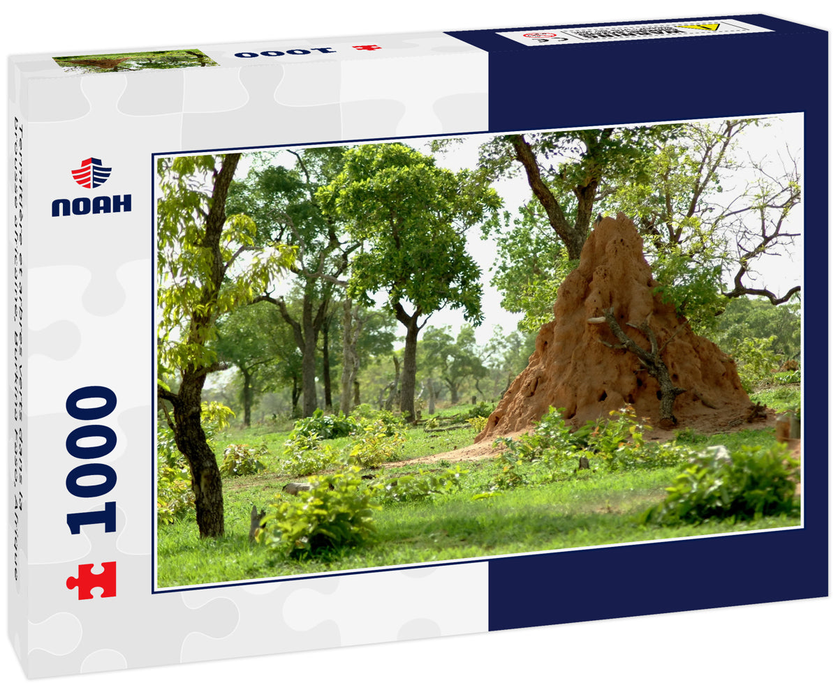 Termitière et arbres verts dans la brousse africaine, Burkina Faso, Afrique