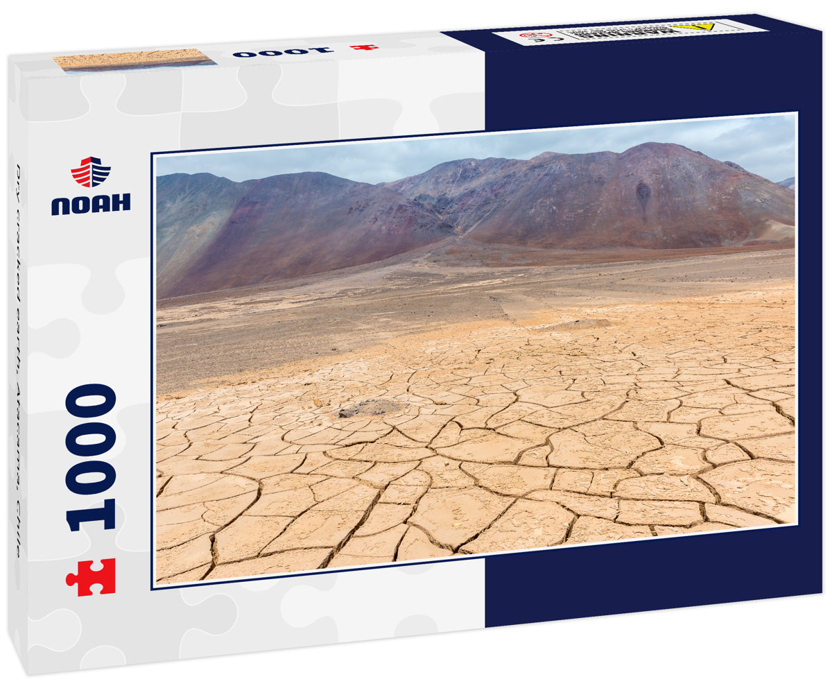 Dry cracked earth, Atacama, Chile