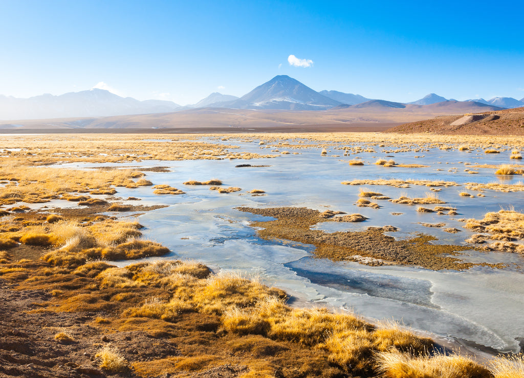 Chilean lagoon landscape, Chile