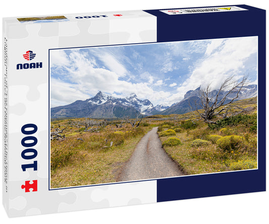 Landscape of "Los Cuernos" (The Horns in English) - Torres del Paine National Park