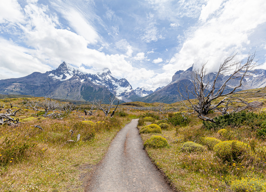 Landscape of "Los Cuernos" (The Horns in English) - Torres del Paine National Park