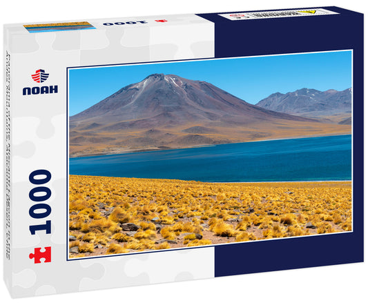 Panorama of the Miscanti Lagoon in the Andes Mountains, Atacama Desert, Chile