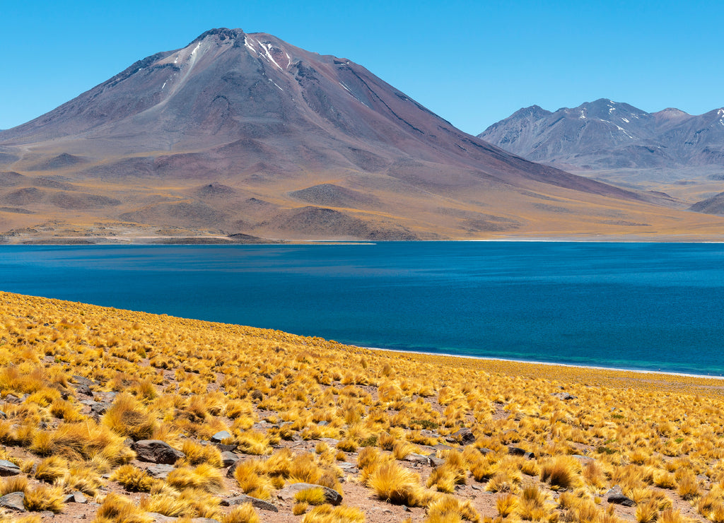 Panorama of the Miscanti Lagoon in the Andes Mountains, Atacama Desert, Chile