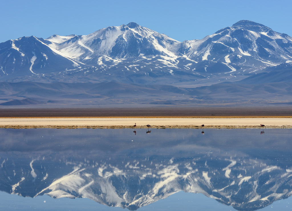 Snow covered Nevado (volcano) Tres Cruces reflecting in a high-altitude lake Laguna Santa Rosa in Parque Nacional Nevado de Tres Cruces, Chile Andes, Atacama desert