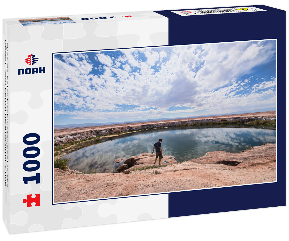 Ojos de Salar freshwater pool in the desert, San Pedro de Atacama, Chile