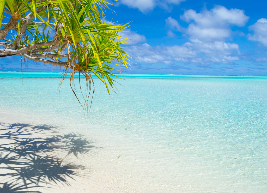 Palm frond on white beach and gorgeous turquoise water at desert One Foot Island, Aitutaki, Cook Islands
