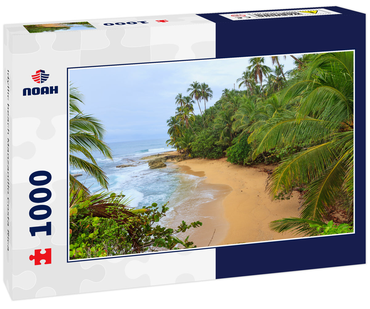 Idyllic beach Manzanillo Costa Rica