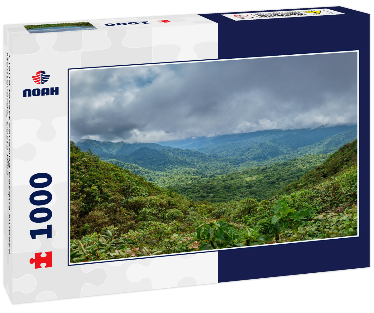 Cloud forest covering Bosque Nuboso Monteverde, Costa Rica