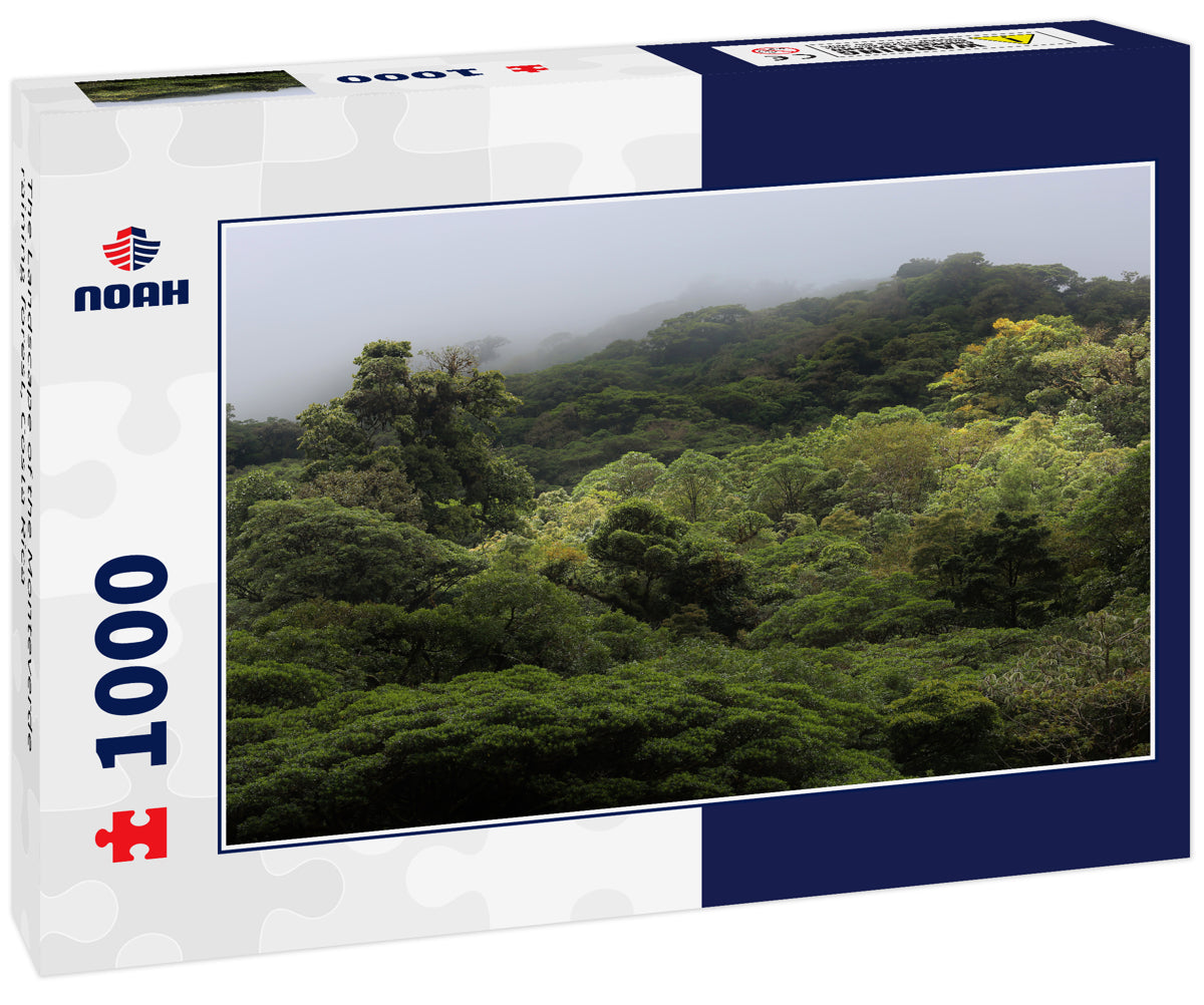 The Landscape of the Monteverde raining forest, Costa Rica