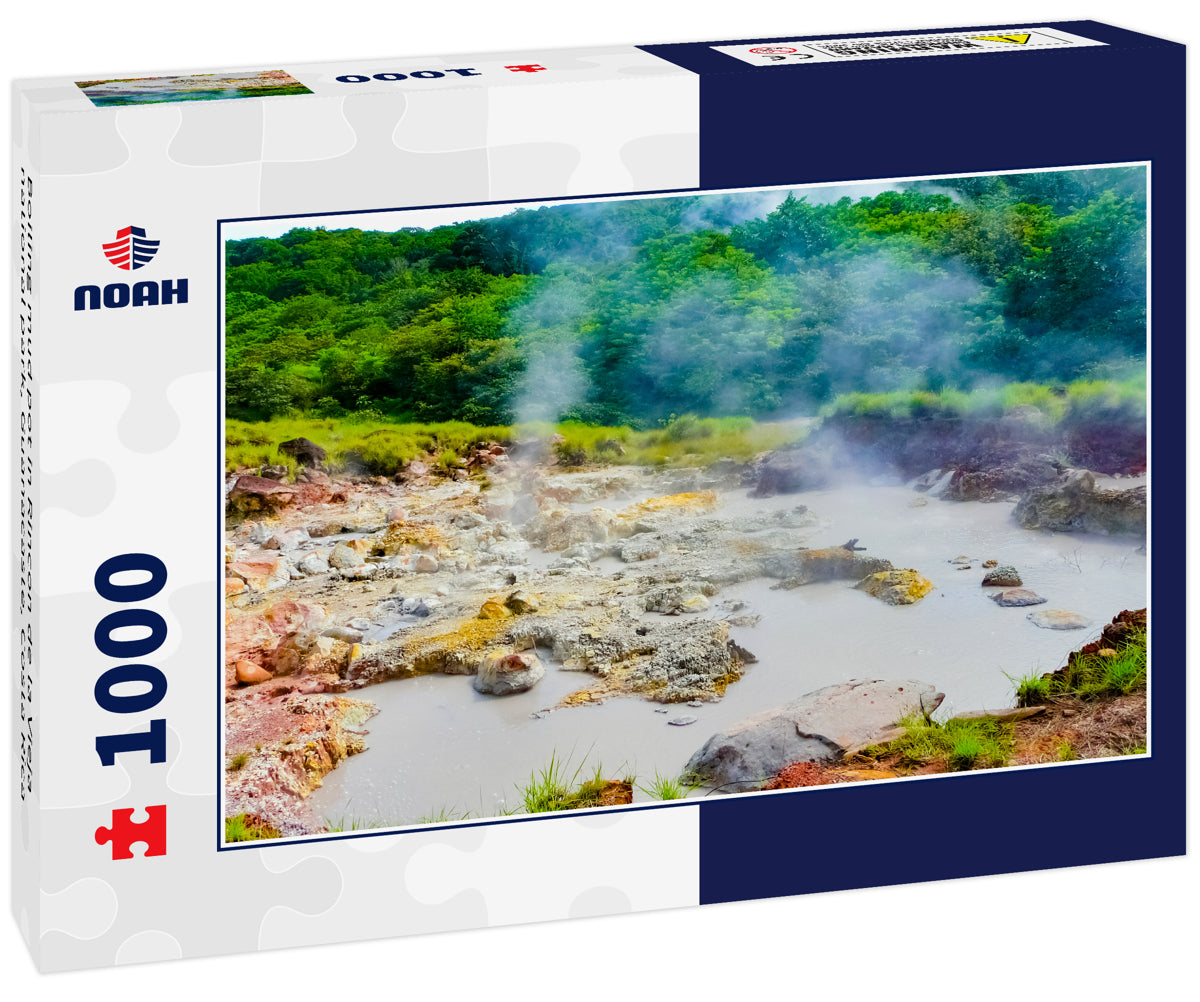 Boiling mud pot in Rincon de la Vieja national park, Guanacaste, Costa Rica