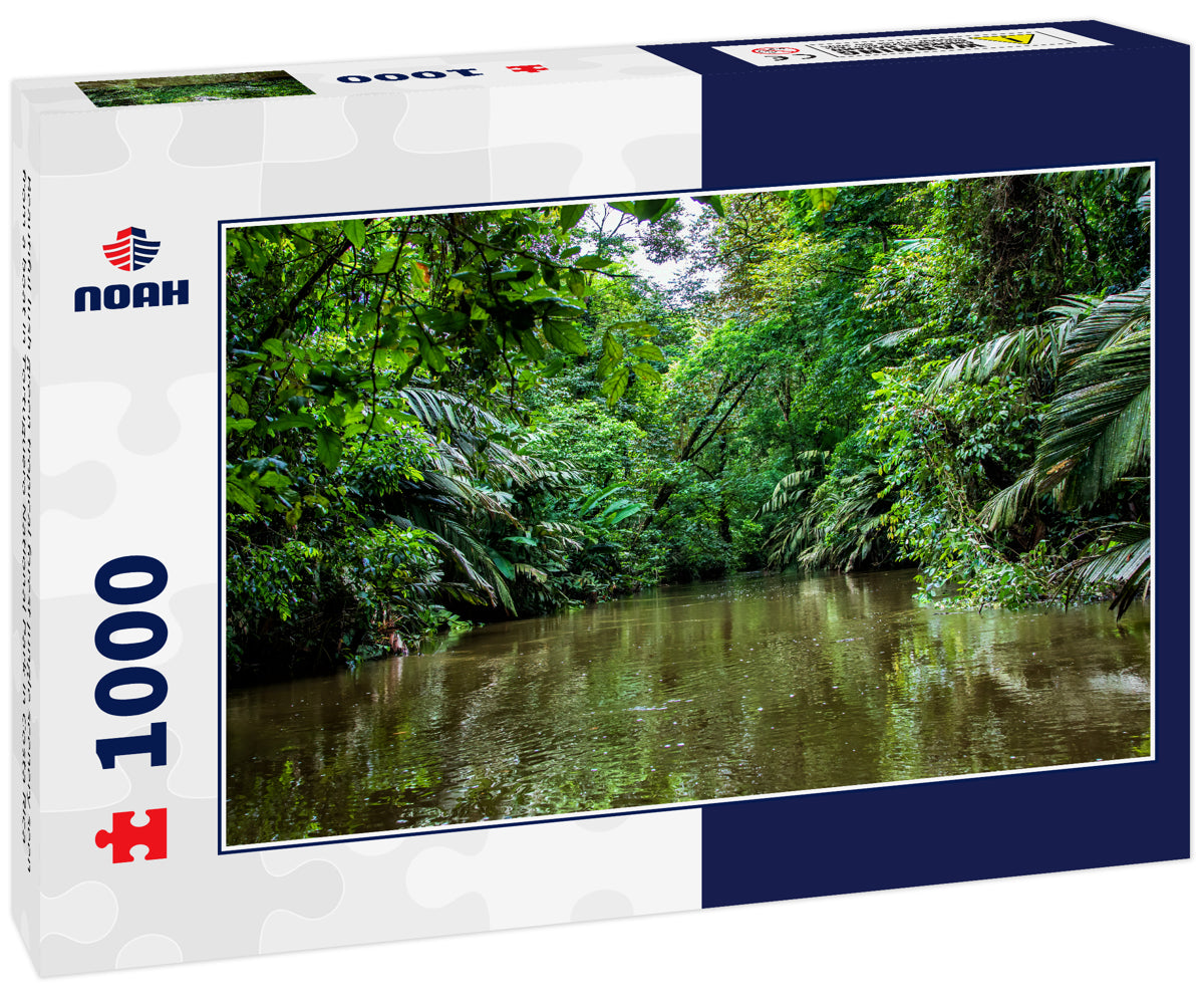 Beautiful lush green tropical forest jungle scenery seen from a boat in Tortuguero National Park in Costa Rica