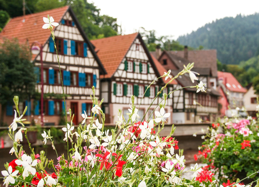 the typical houses of Schiltach, Black Forest, Germany