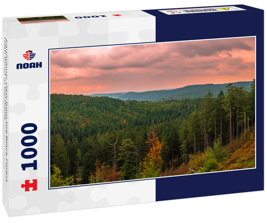 Panoramic view from the Black Forest High Road in Germany