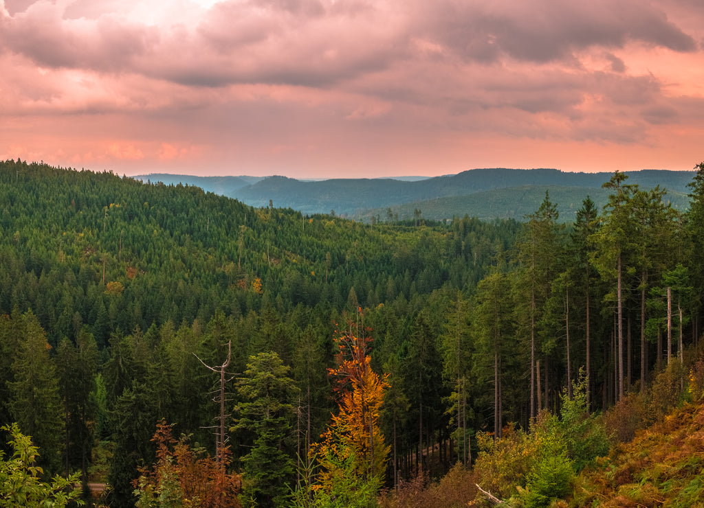 Panoramic view from the Black Forest High Road in Germany