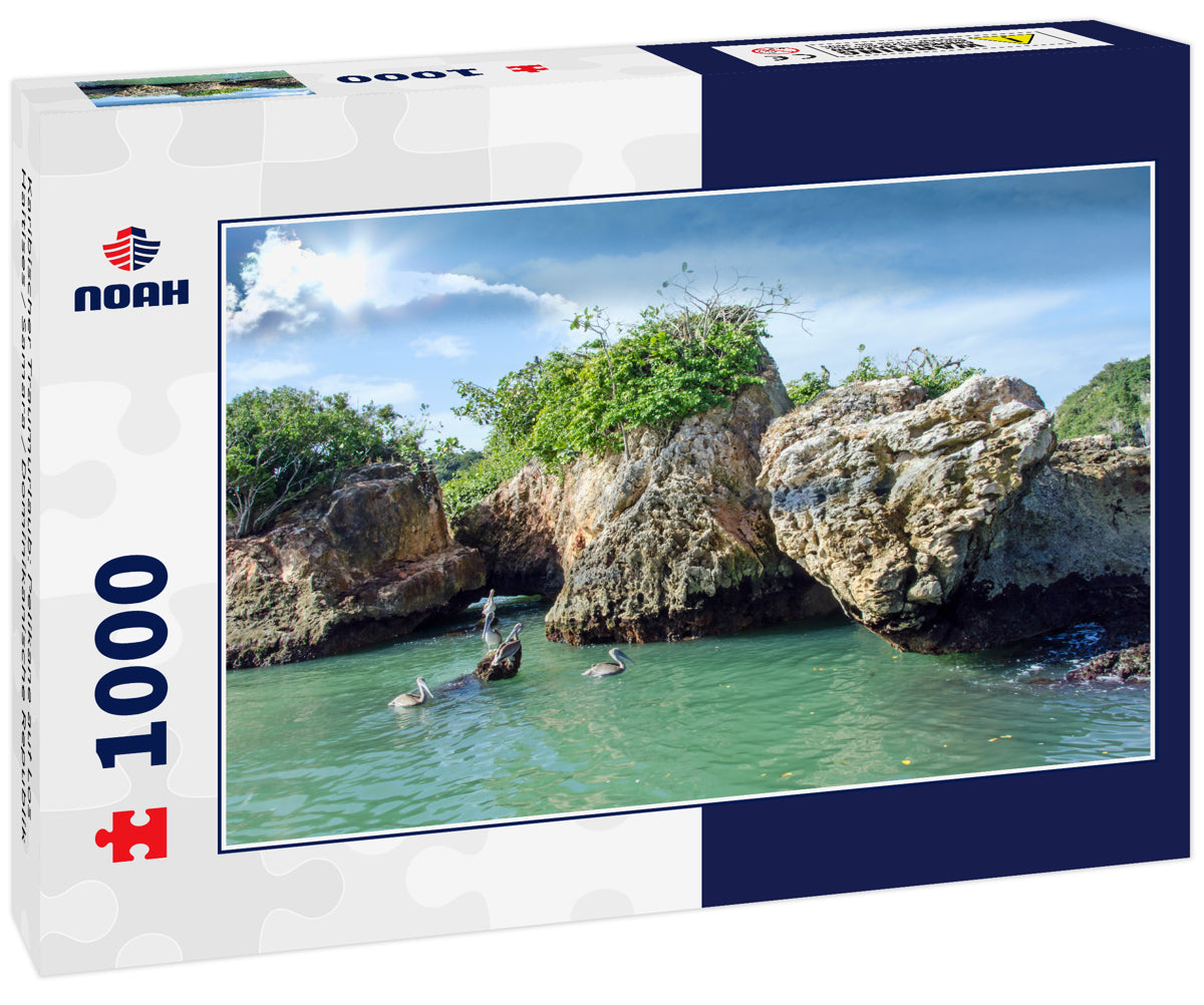 Karibischer Traumurlaub: Pelikane auf Los Haitises / Samara / Dominikanische Republik