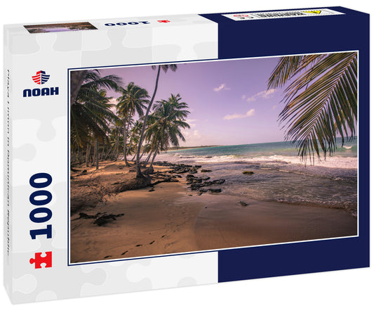 Playa Limon in Dominican Republic