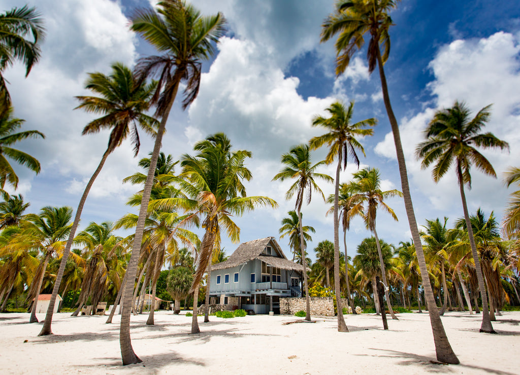 Panorama view of tropical villa at the paradise beach with palm trees in Saona island, Dominican Republic