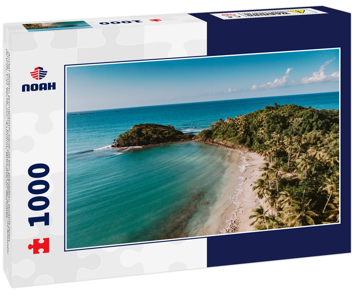 Aerial drone panoramic view of the paradise beach with sandy and rocky shore, palm trees and blue water of Atlantic Ocean, Las Terrenas, Samana, Dominican Republic