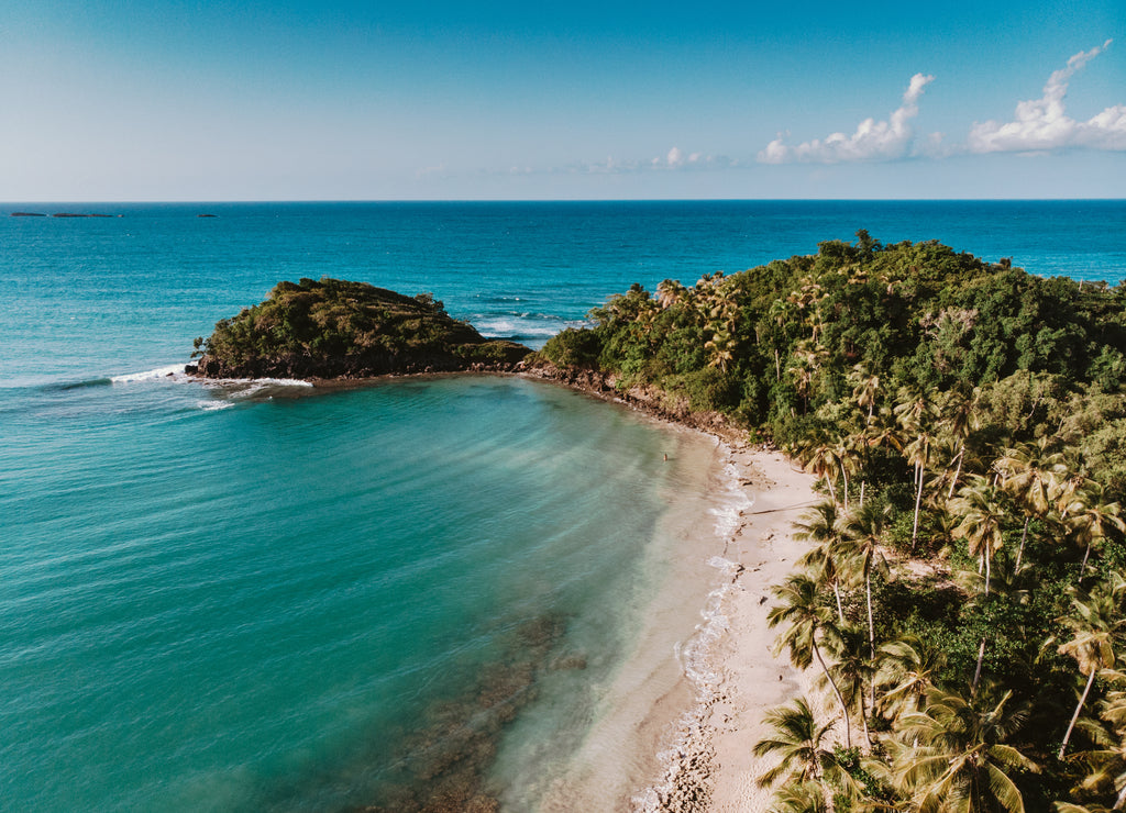 Aerial drone panoramic view of the paradise beach with sandy and rocky shore, palm trees and blue water of Atlantic Ocean, Las Terrenas, Samana, Dominican Republic