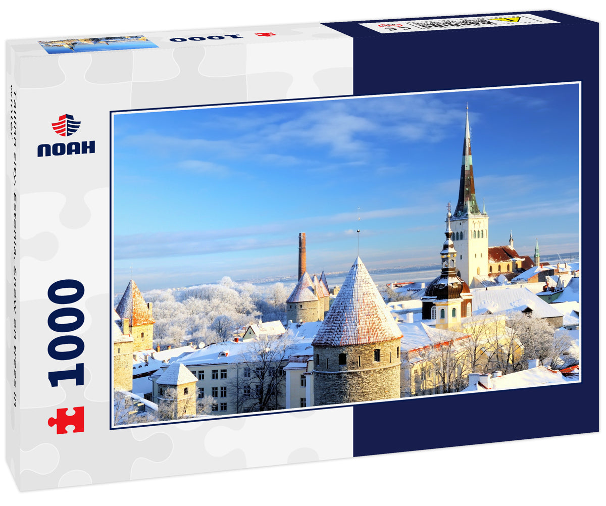 Tallinn city. Estonia. Snow on trees in winter