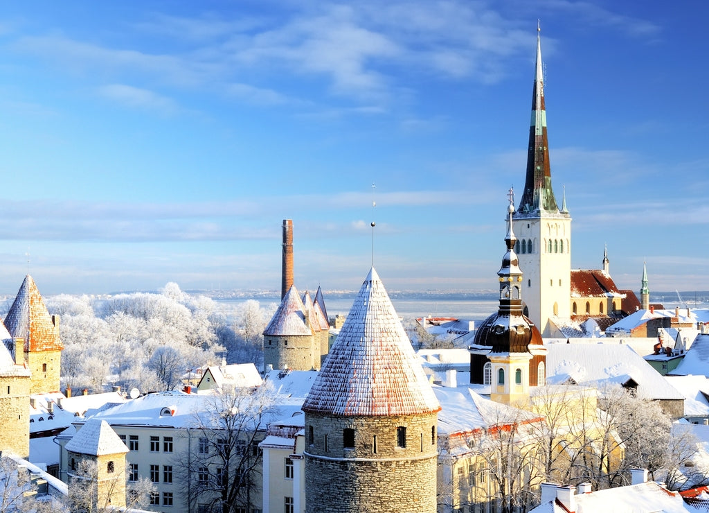 Tallinn city. Estonia. Snow on trees in winter