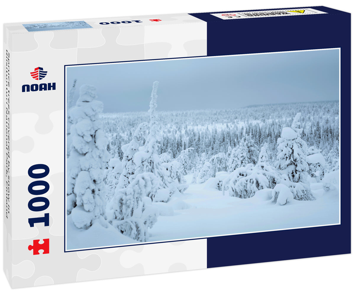 Spruce trees covered by snow in Riisitunturi National Park, Finland