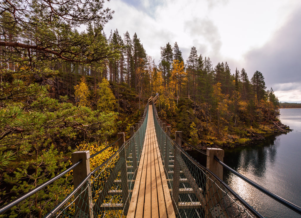 The suspension bridge in autumn forest, Oulanka national park, Finland