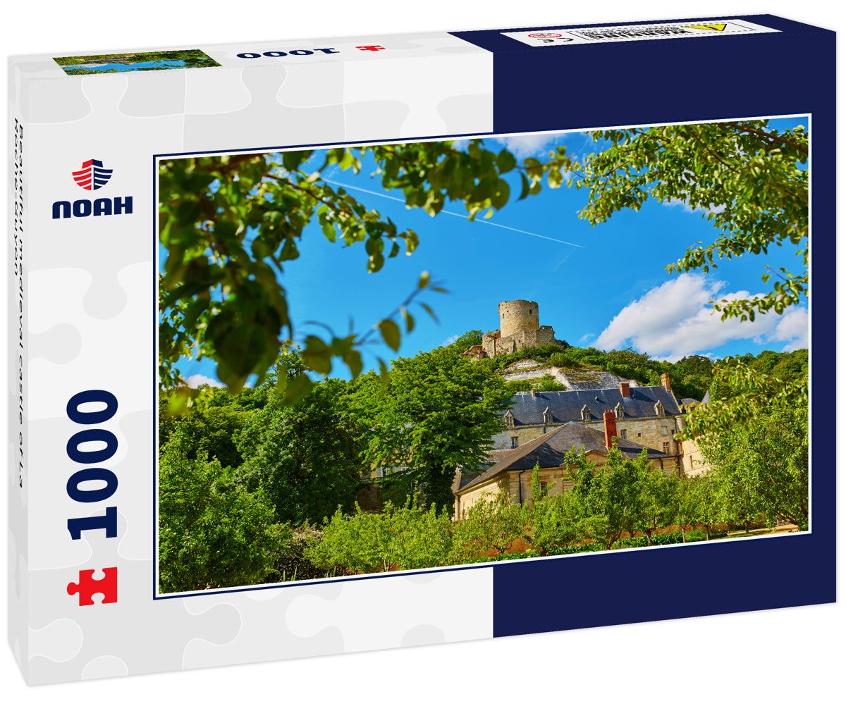 Beautiful medieval castle of La Roche-Guyon