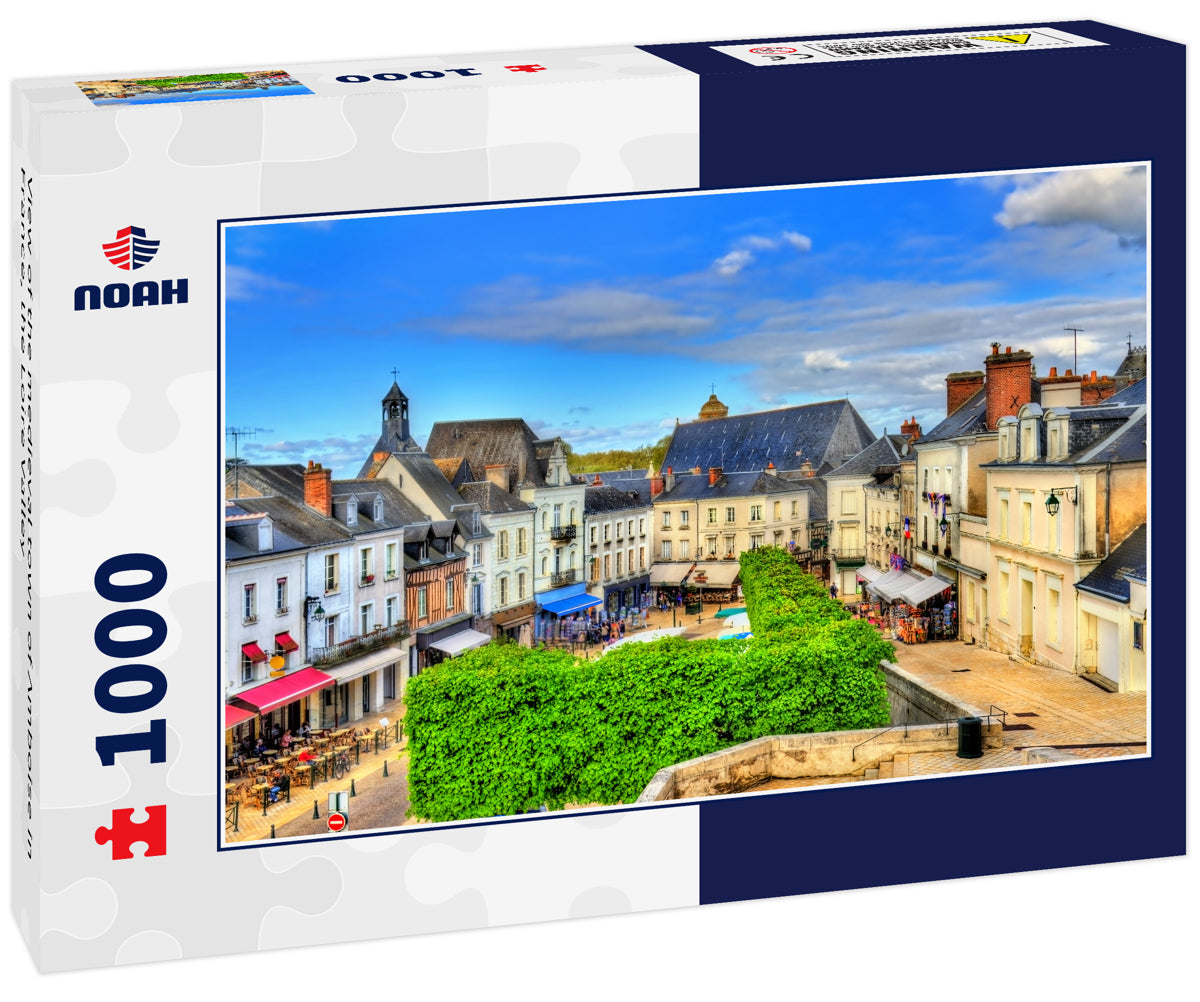 View of the medieval town of Amboise in France, the Loire Valley