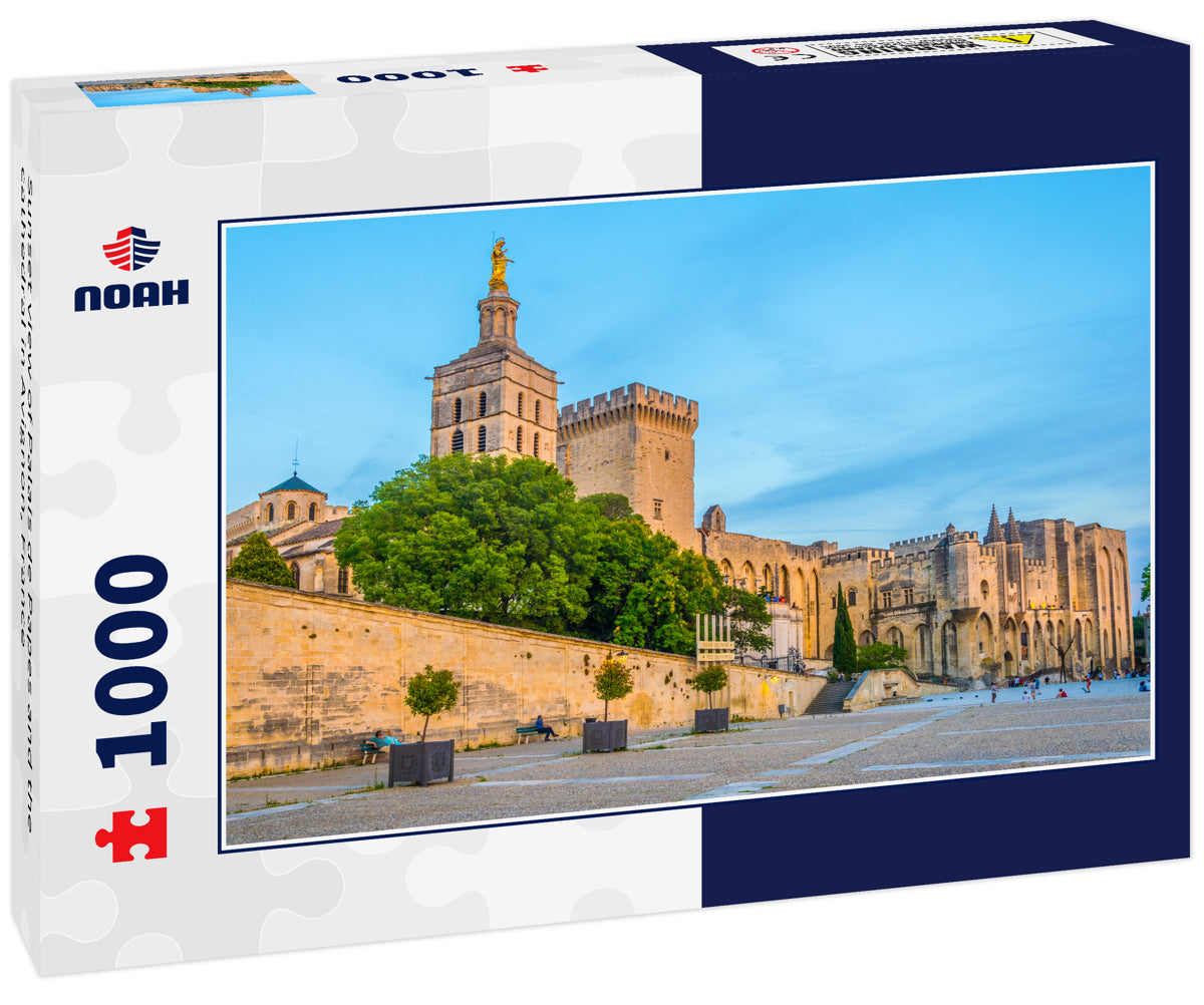 Sunset view of Palais de Papes and the cathedral in Avignon, France