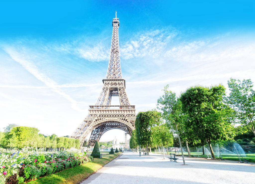 eiffel tour and Paris cityscape