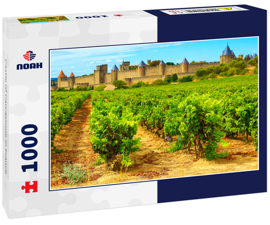 Castle of Carcassone in France