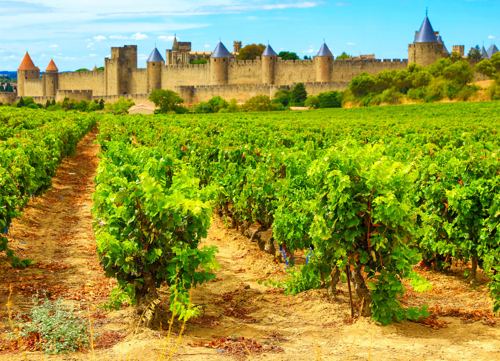 Castle of Carcassone in France
