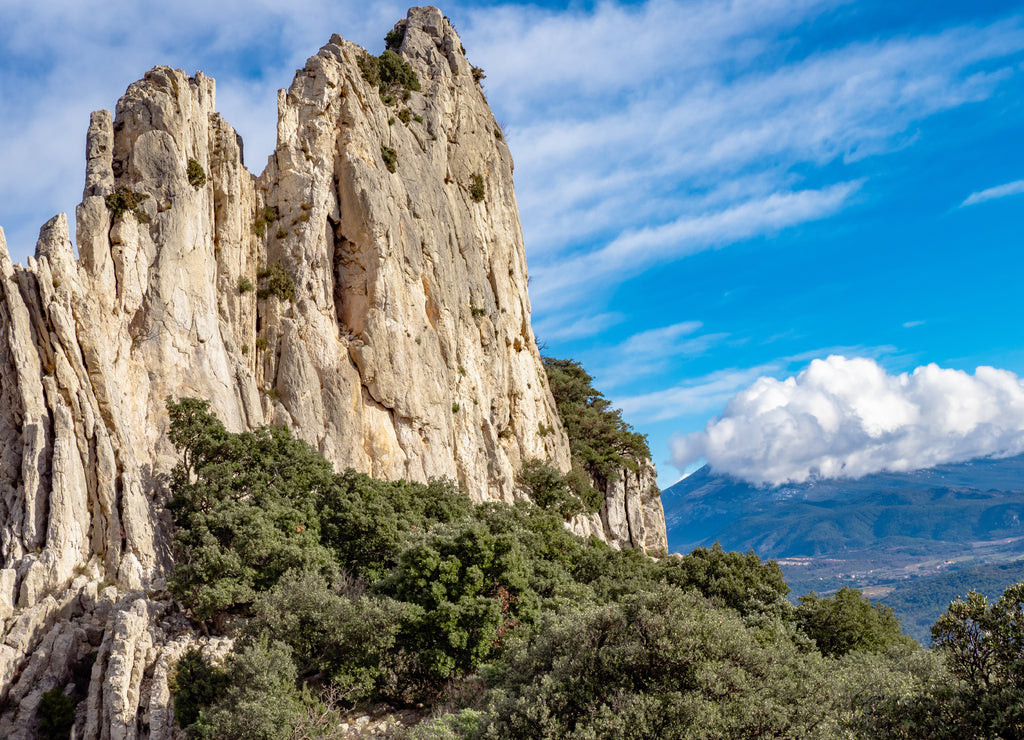 Les dentelles de monmirail in France