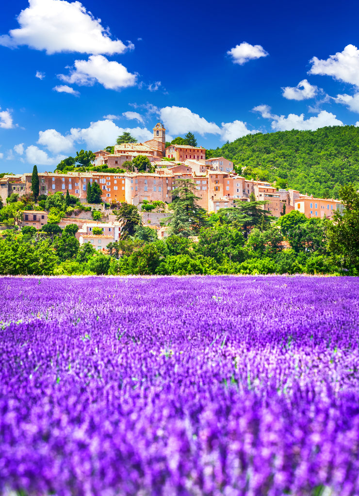Provence, France - Banon hilltop village and lavender field