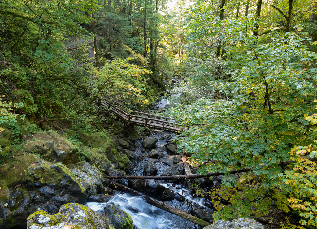 Footbridge over Hardy Creek from Rodney Falls in Beacon Rock State Park, Washington, USA