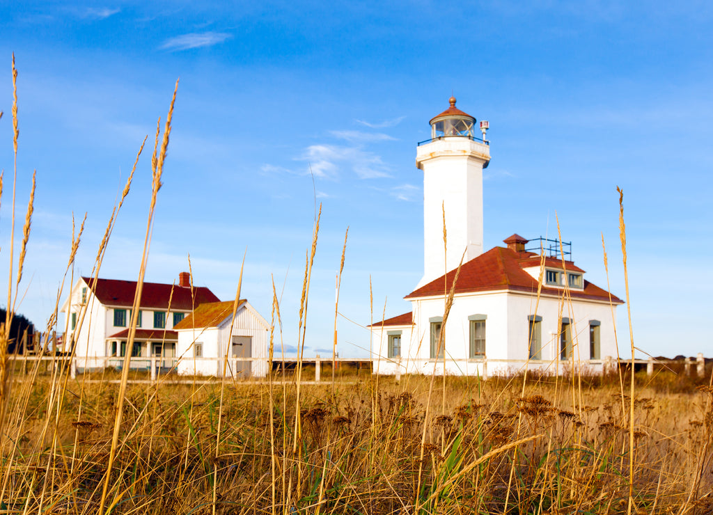Port Townsend, Washington state. Old lighthouse. Selective focus on tall grass in foreground